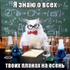 химиг