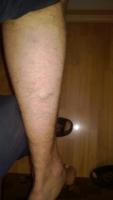 post-3551-0-38101200-1386679518_thumb.jpg