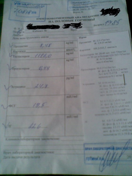 111.jpg