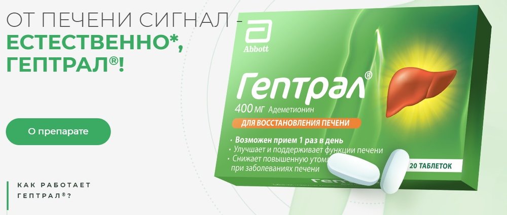 печень.jpg