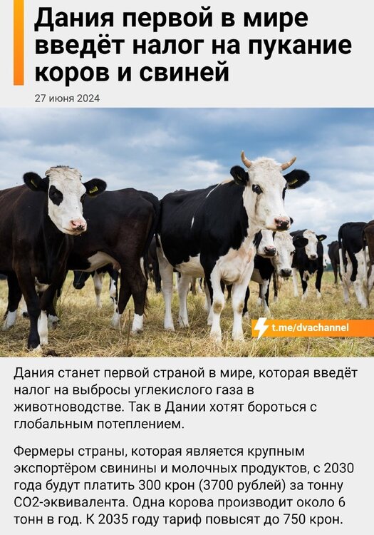 ihoBh2Tx-auinXN6O_FVWCms_DmyPRYgkAuyDBnxRzuSq8D6YwXkdwhBR62udLh4NgPzrW-QeKpIgWyriApATQ2S.jpg